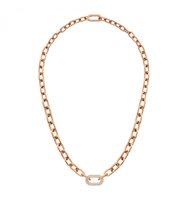 Collana Daniel Wellington Donna CARBINE CRYSTAL in Acciaio DW00400571 - DW00400571